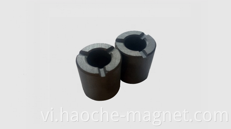 Radial 12 pole ferrite nam châm cho bơm nước Bán buôn nam châm vĩnh cửu